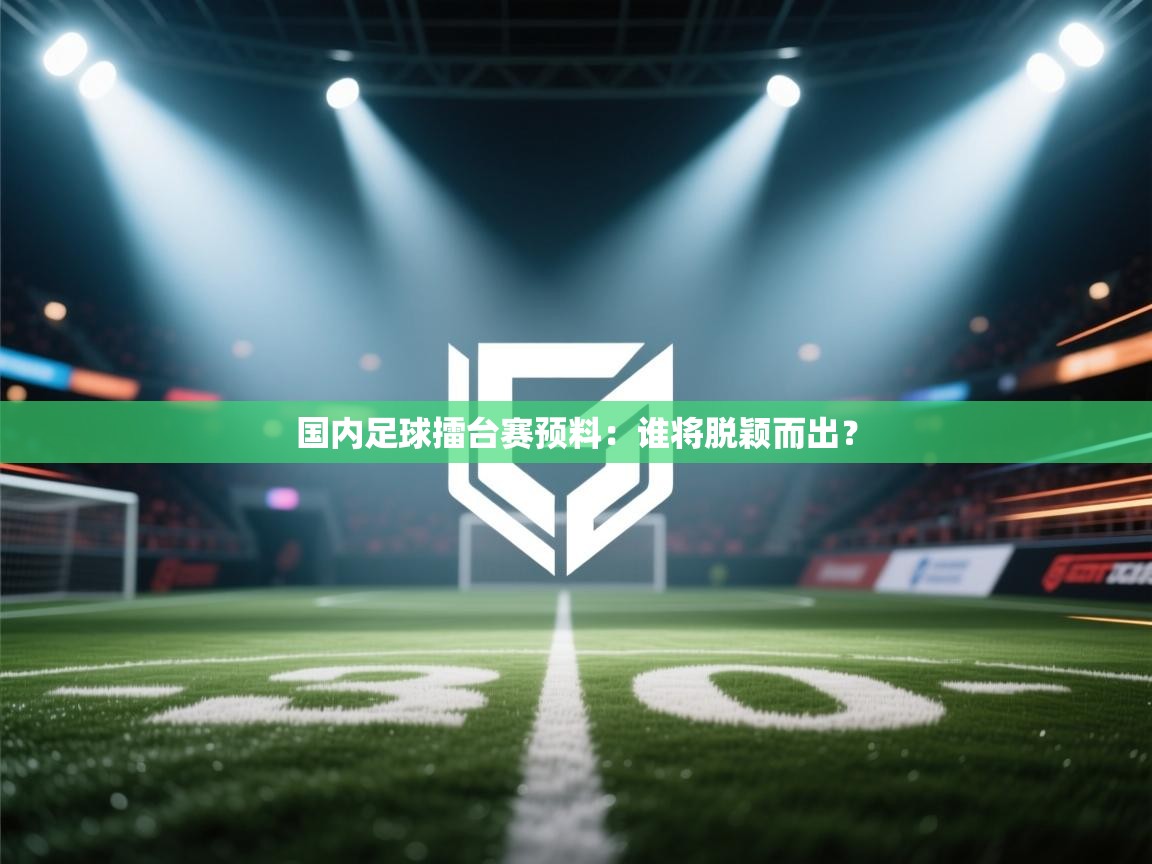 国内足球擂台赛预料:谁将脱颖而出? 第2张