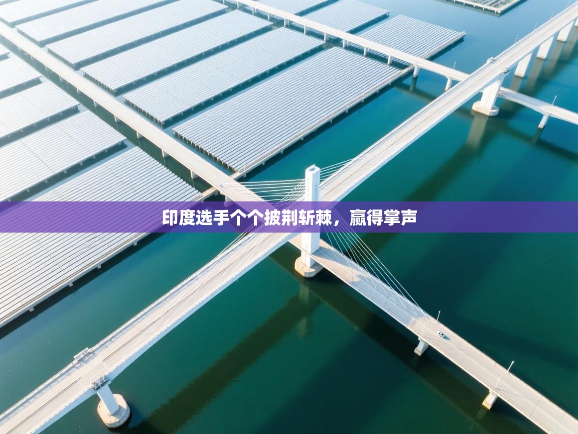 印度选手个个披荆斩棘，赢得掌声  第2张