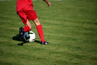 米乐体育官方网站入口-西悉尼流浪者重点培养年轻球员，展望未来世俱杯