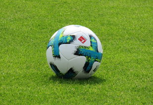 米乐体育平台官网-阿尔希拉尔伤病恢复进展顺利，期待发挥