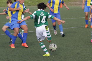 米乐体育网站-阿贾克斯翻盘多特，孟菲斯献绝杀，阿贾克斯vs多特蒙德进球数